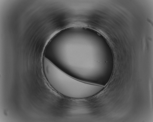 X0000093420864200710120855