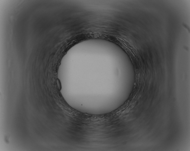 X0000093420865200710120854