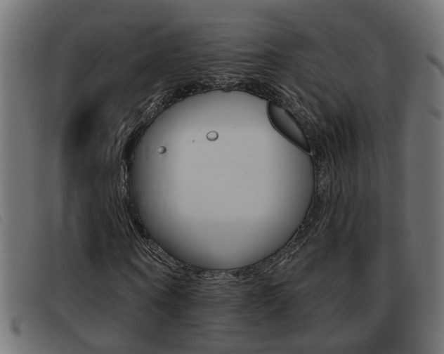 X0000093420866200710120854