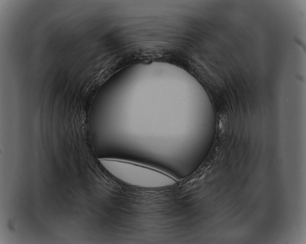 X0000093420867200710120854
