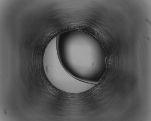 X0000093420868200710120854
