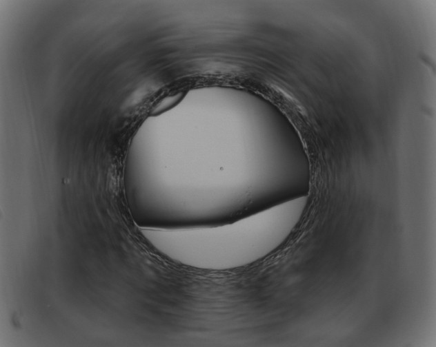 X0000093420869200710120854