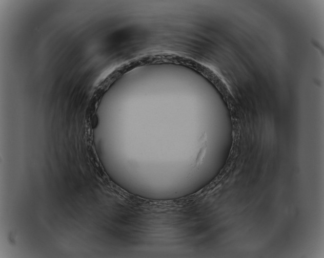 X0000093420871200710120854