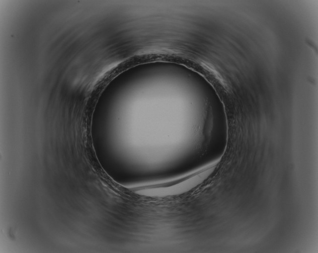X0000093420872200710120854