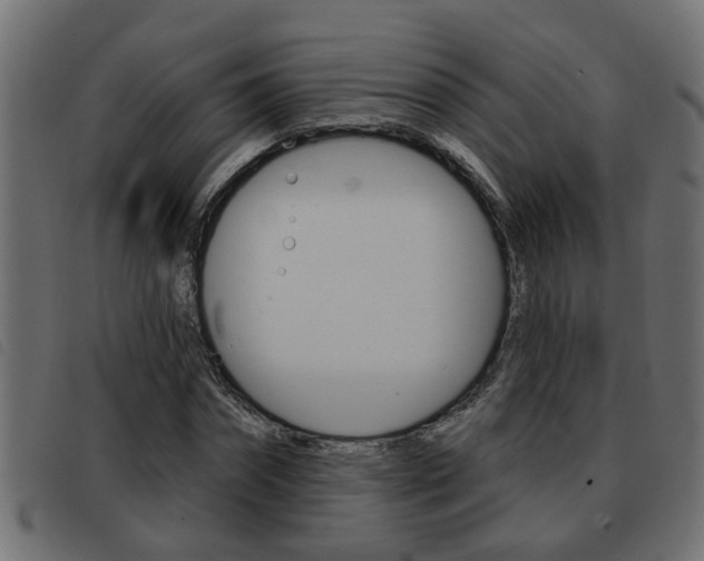 X0000093420874200710120854