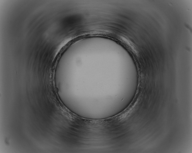 X0000093420875200710120854