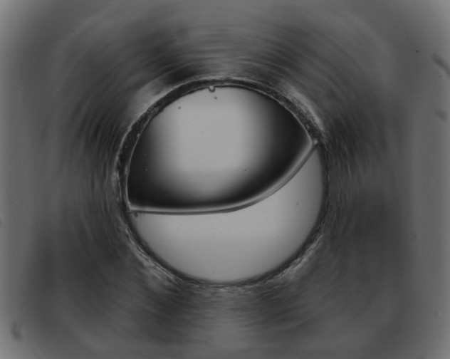 X0000093420876200710120854