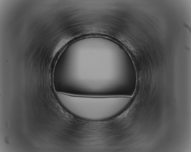 X0000093420877200710120854