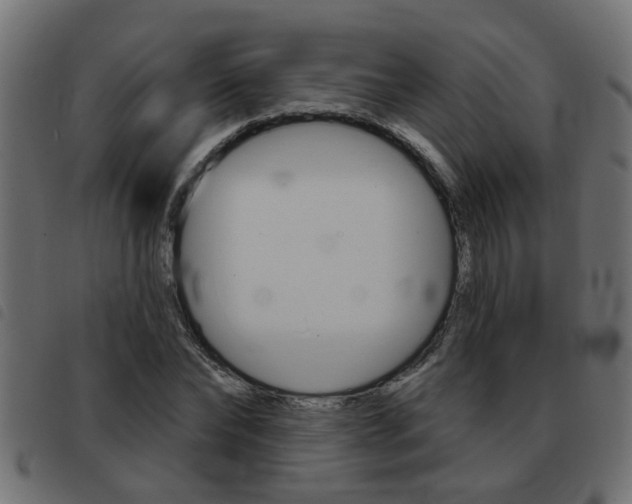 X0000093420878200710120854