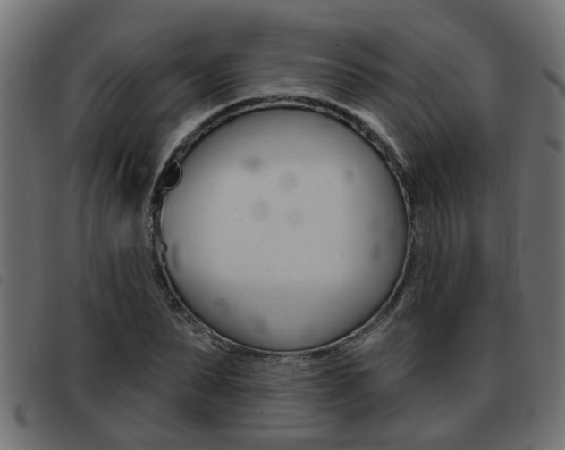 X0000093420879200710120854