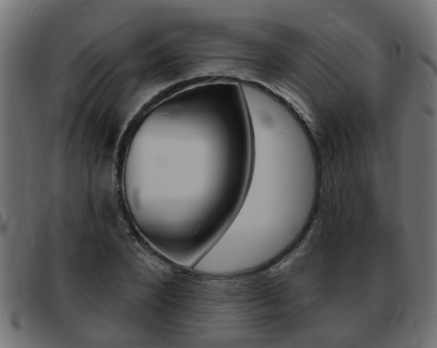 X0000093420880200710120854