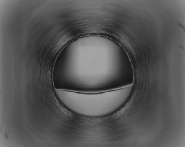X0000093420881200710120854