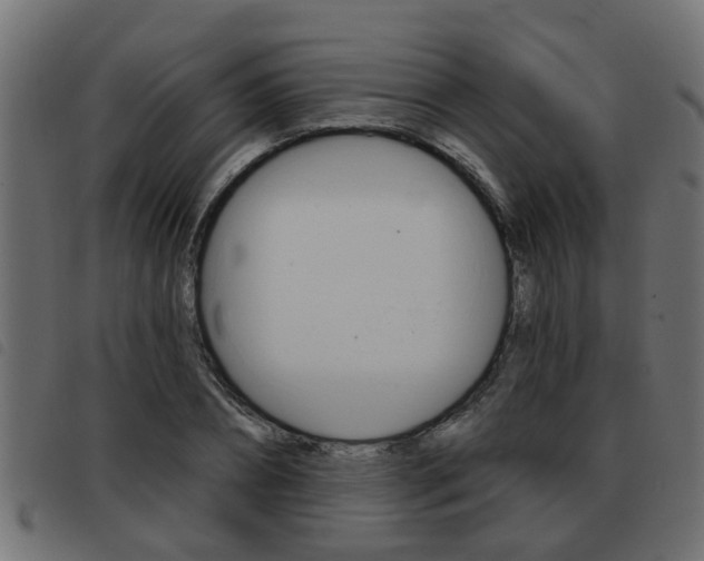 X0000093420882200710120854