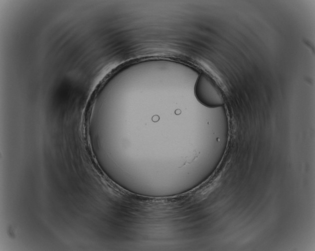 X0000093420883200710120854