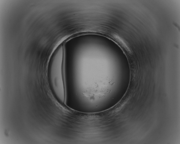 X0000093420884200710120854