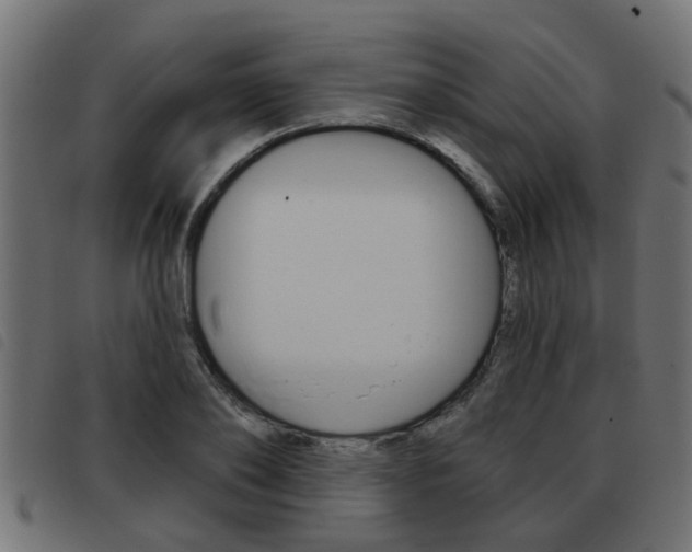 X0000093420886200710120854