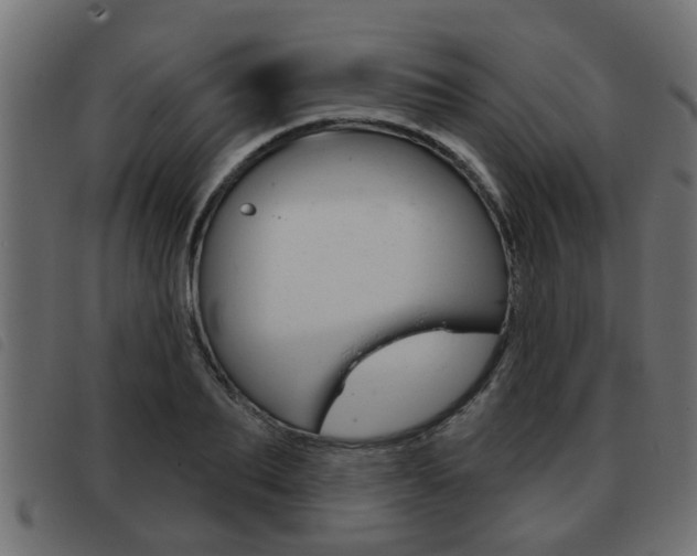 X0000093420887200710120854