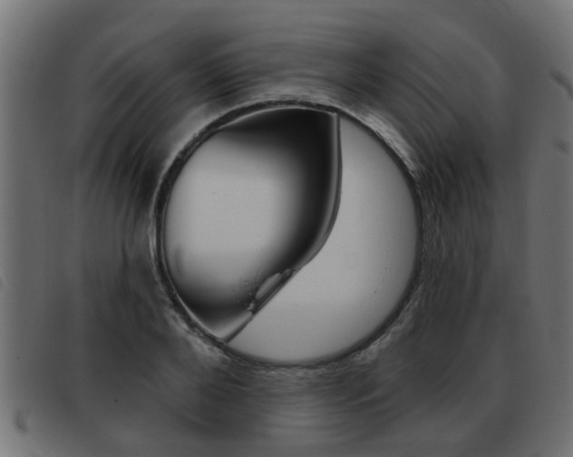 X0000093420888200710120854