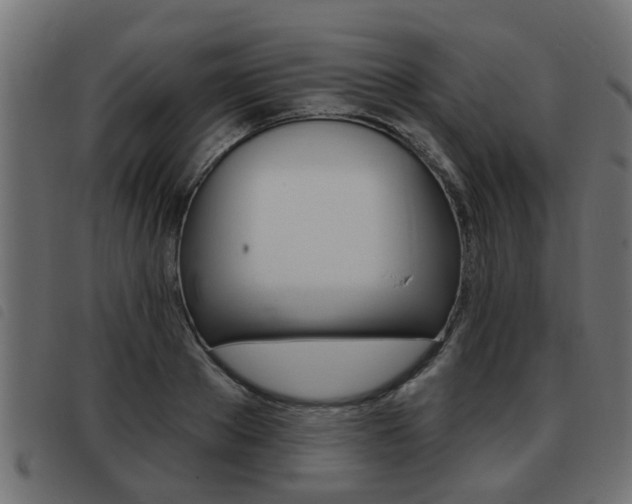 X0000093420889200710120854