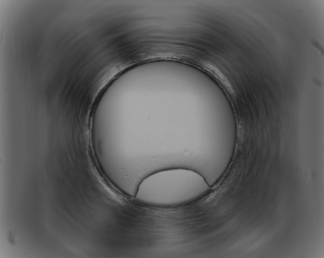 X0000093420890200710120854