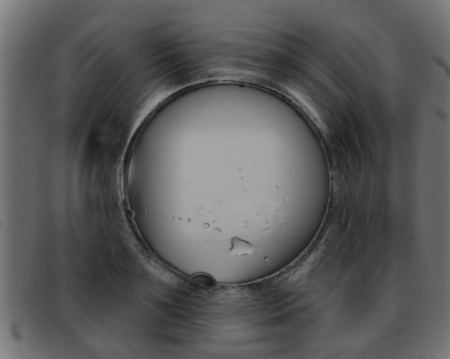X0000093420891200710120854