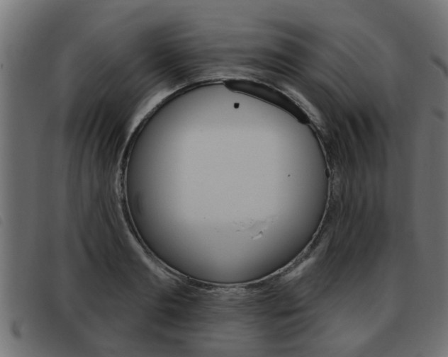 X0000093420893200710120854