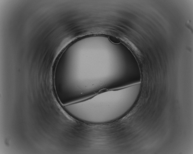 X0000093420894200710120854