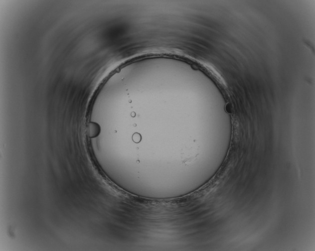 X0000093420895200710120854