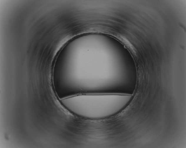X0000093420896200710120854
