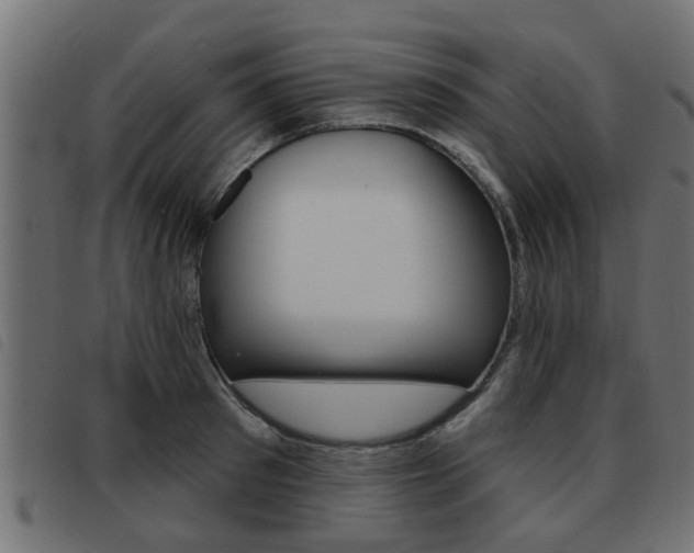 X0000093420897200710120854