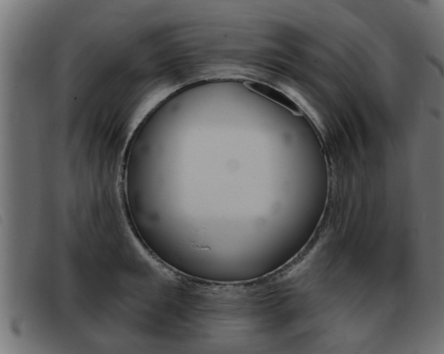 X0000093420901200710120854