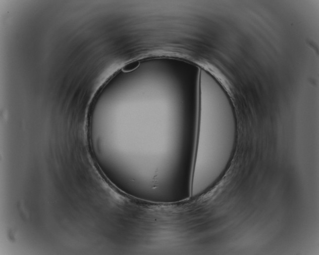 X0000093420902200710120854
