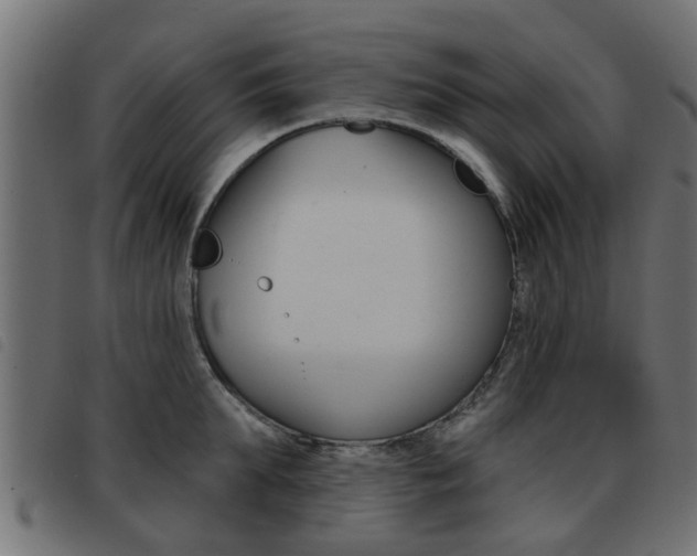 X0000093420903200710120854