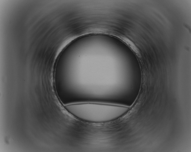 X0000093420904200710120854