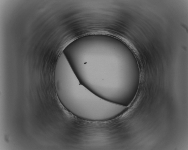 X0000093420905200710120854