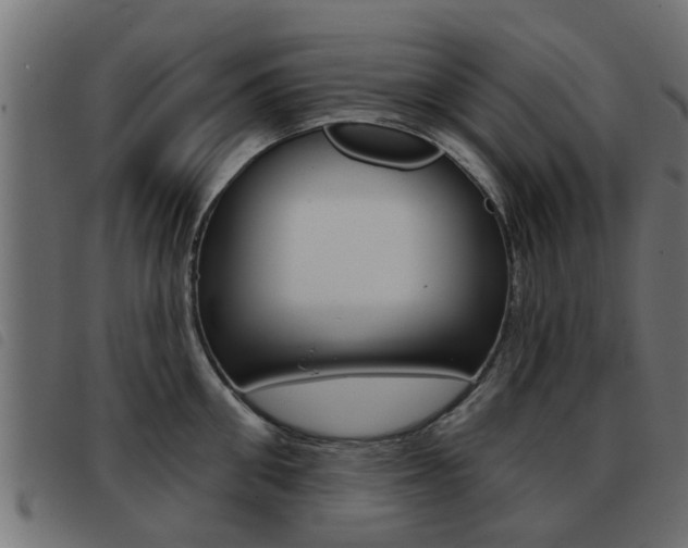 X0000093420906200710120854