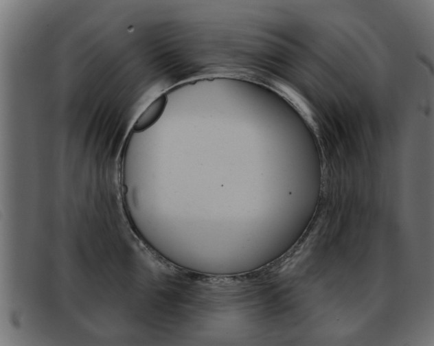X0000093420907200710120854