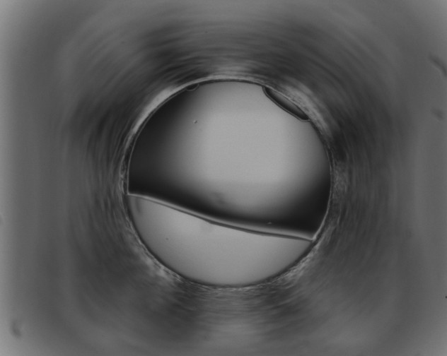 X0000093420908200710120854
