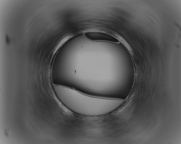 X0000093420909200710120854