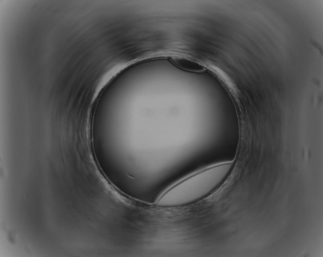 X0000093420910200710120854