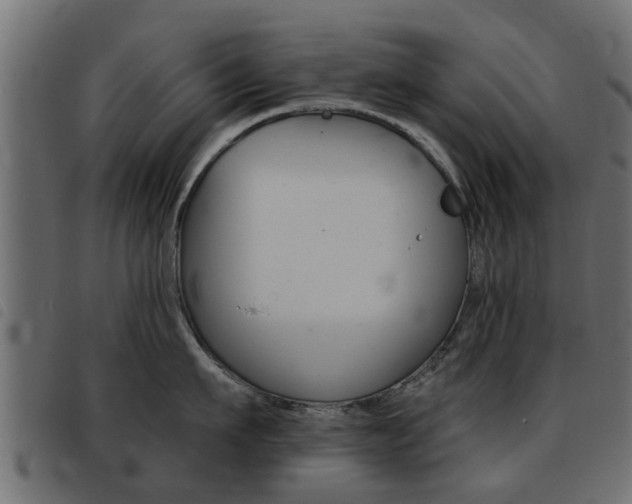 X0000093420911200710120854