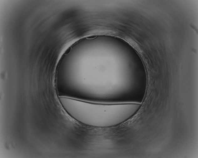 X0000093420912200710120854