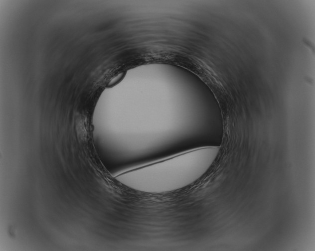 X0000093420915200710120853