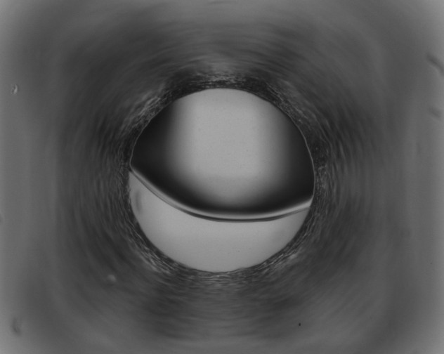 X0000093420916200710120853