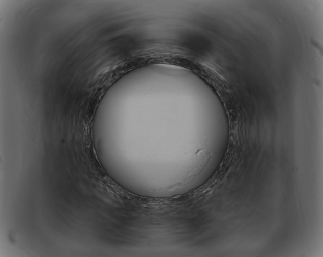X0000093420917200710120853