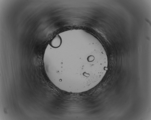 X0000093420918200710120853