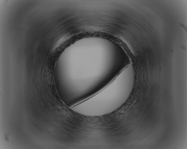 X0000093420919200710120853