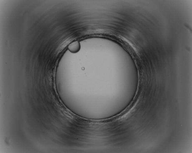 X0000093420921200710120853