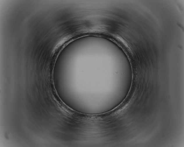 X0000093420922200710120853