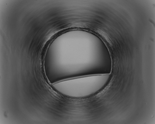 X0000093420923200710120853